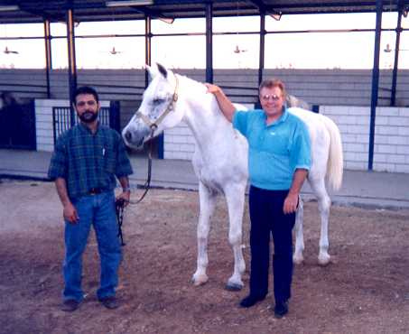 Hebet Allah in her final home in Saudi Arabia at the stud farm owned by Khaled Saad Al Haddad.  Photo is Khalid on the left and Al Parks on the right.