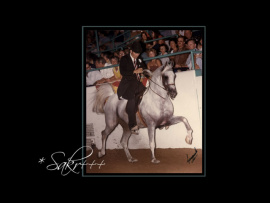 <b>Description: </b>*SAKR Sultan x Enayat by *Morafic with Tom McNair<br/>