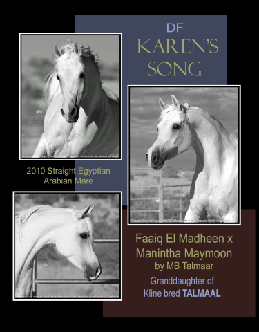 DF Karens Song - pictures by C Emmert, collage by Laura Jacobson