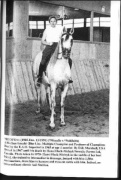 <b>Description: </b>Khofo (Morafic x Nabilahh) 1965 Hadban Enzahi<br/>