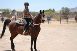 <b>Description: </b>test photo<br/><b>Copyright: </b>hugh